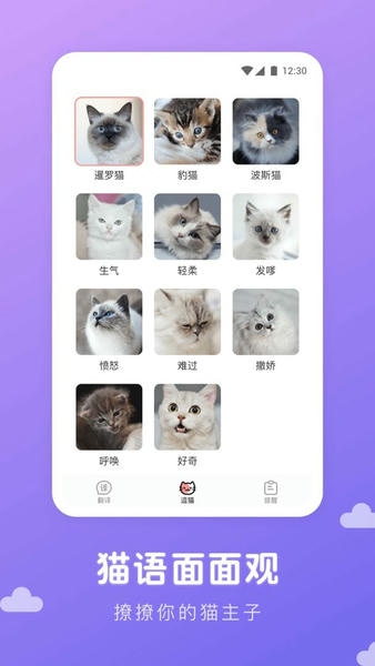 猫语翻译君最新版 猫语翻译君官方版