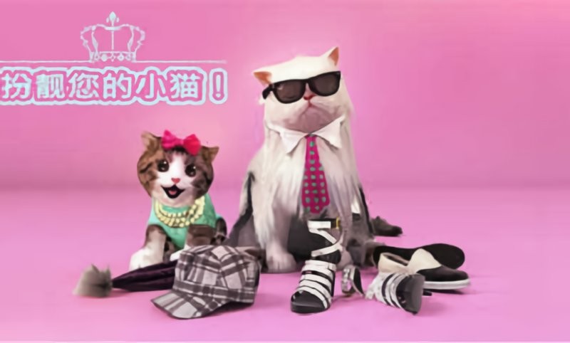 模拟猫咪游戏 v2.1.1 安卓版 1