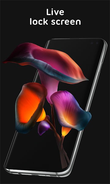 pixel4d动态壁纸免费版 v3.4.8.2 安卓版 1