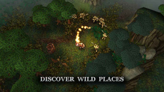 符文狂暴无敌版(Runic Rampage) v1.08 安卓版 1