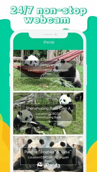 ipanda熊猫频道24小时直播app v3.0.1 安卓版 0