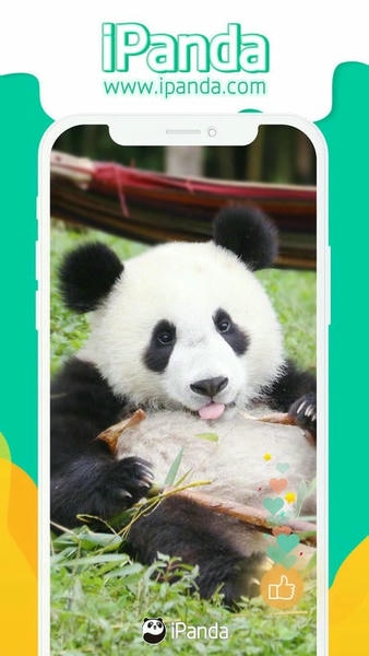 ipanda熊猫频道24小时直播app v3.0.1 安卓版 1