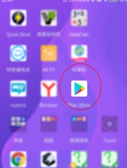 使用截图 谷歌Play商店安装包下载2024最新版-谷歌Play商店应用官网下载安卓版v42.0.20