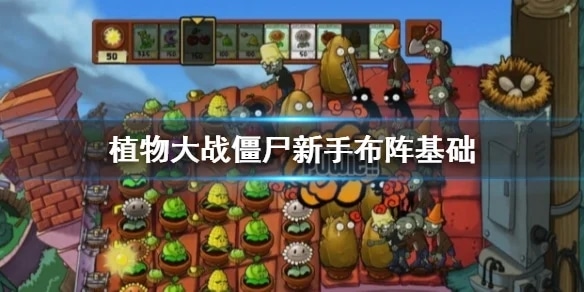 使用截图 截图