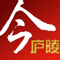 今庐陵软件