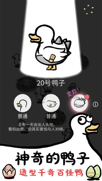神奇的鸭子最新版 神奇的鸭子官方版