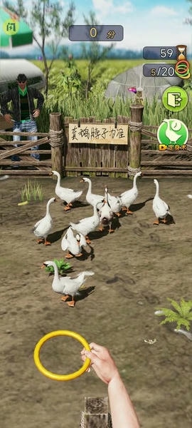天天套圈最新版 天天套圈官方版