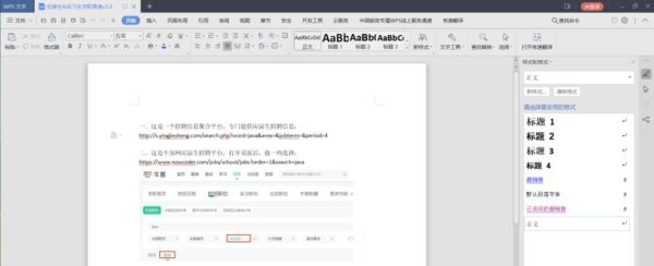 WPS中国邮政专用版 WPS邮政专用版