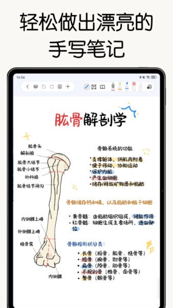 自由笔记官方正版 v3.21.0 安卓版 0