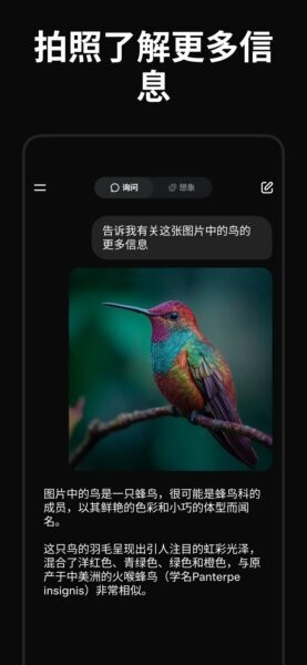 grok4.1官方最新版本 v1.2.10-release.01 安卓版 1