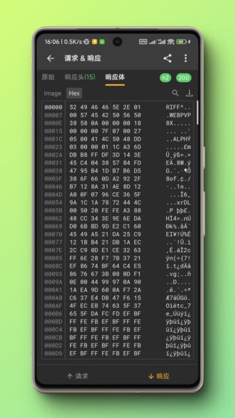 Reqable抓包软件 v3.0.31 安卓版 0