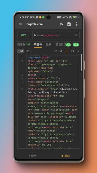 Reqable抓包软件 v3.0.31 安卓版 1