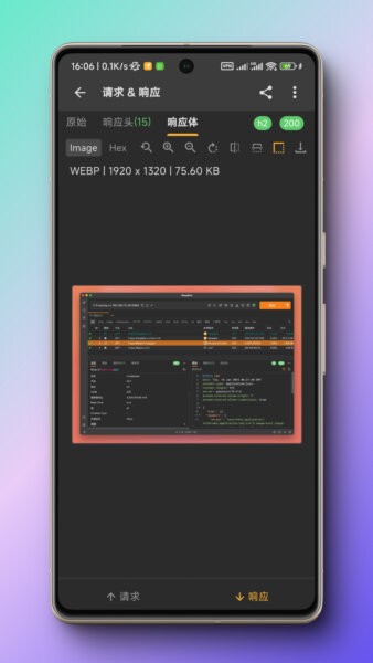 Reqable抓包软件 v3.0.31 安卓版 2