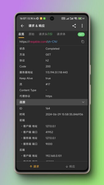 Reqable抓包软件 v3.0.31 安卓版 4