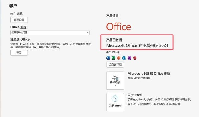 Microsoft Office 2024专业增强版 v2024.12.05 绿色版 0