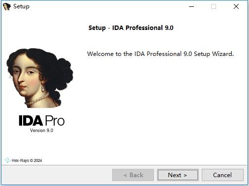 IDA Pro专业反编译软件 v9.0.241217(SP1) 完整汉化版 3