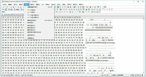 emeditor编辑器 v25.0.1 最新版 2