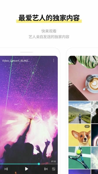 BLISSOObubble官方软件 v1.0.11 安卓版 0