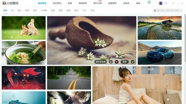 小鸟壁纸电脑桌面壁纸(原360壁纸) v3.1125.2576.313 官方版 1