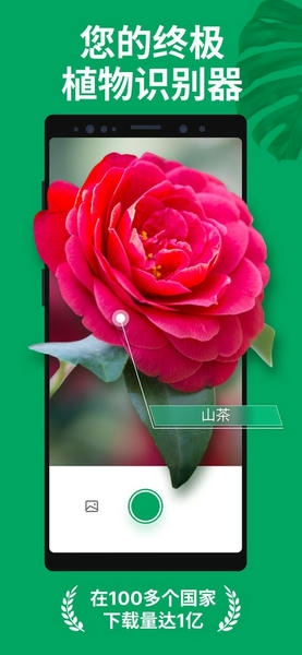 植物识别扫一扫软件(PictureThis) v5.30.0 安卓版 0