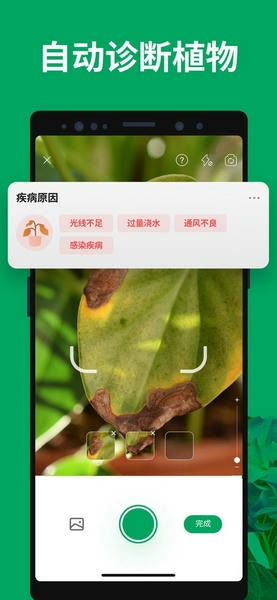 植物识别扫一扫软件(PictureThis) v5.30.0 安卓版 1