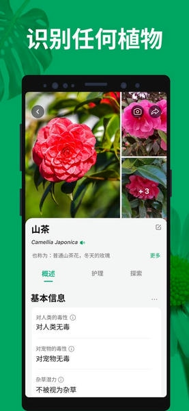植物识别扫一扫软件(PictureThis) v5.30.0 安卓版 2