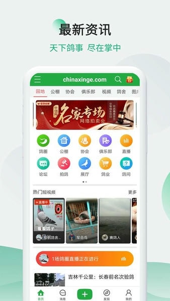 中信网中国信鸽网手机版 v20260518 安卓版 0