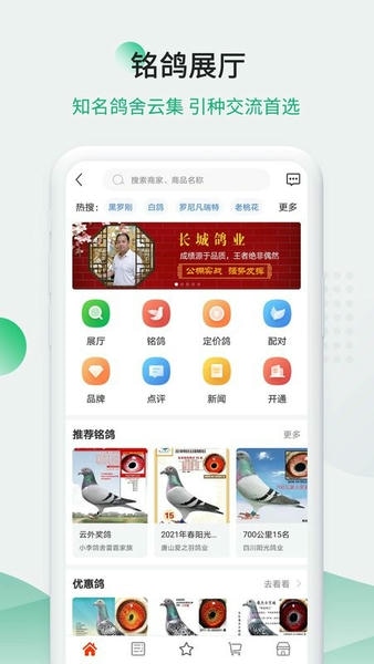 中信网中国信鸽网手机版 v20260518 安卓版 2