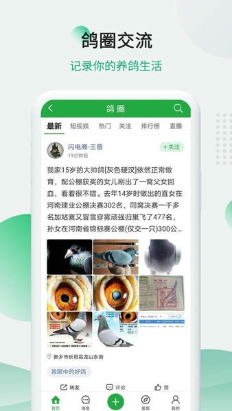中信网中国信鸽网手机版 v20260518 安卓版 1
