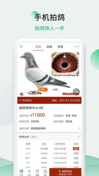 中信网中国信鸽网手机版 中信网中国信鸽网下载app