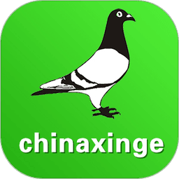 中信网中国信鸽网手机版