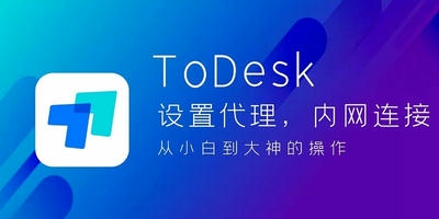 todesk