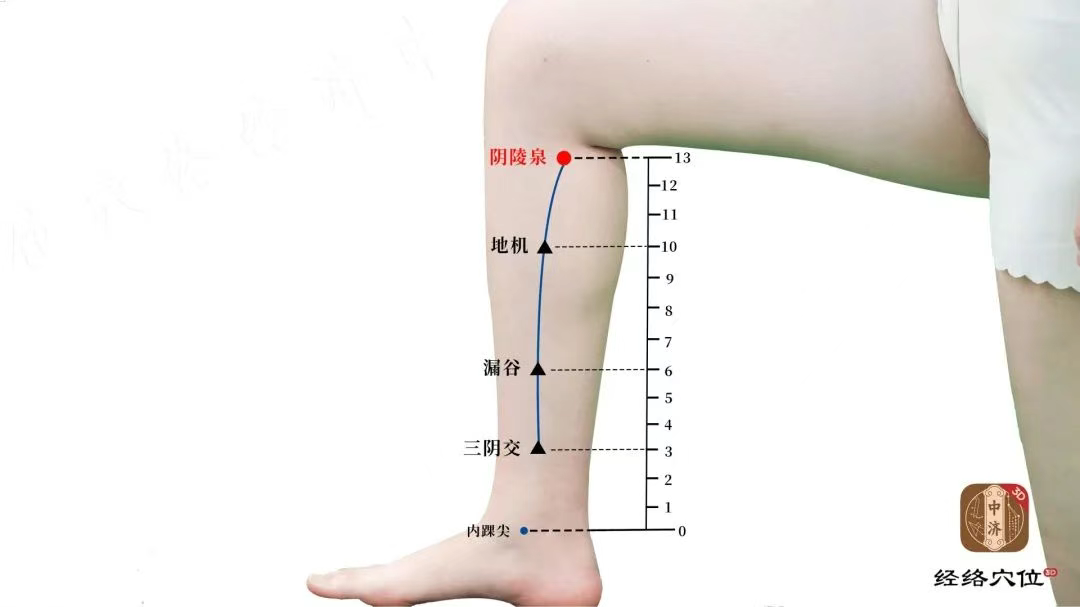 知源经络穴位 知源经络穴位app