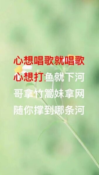 山歌宝典app v1.5.12 安卓版 2