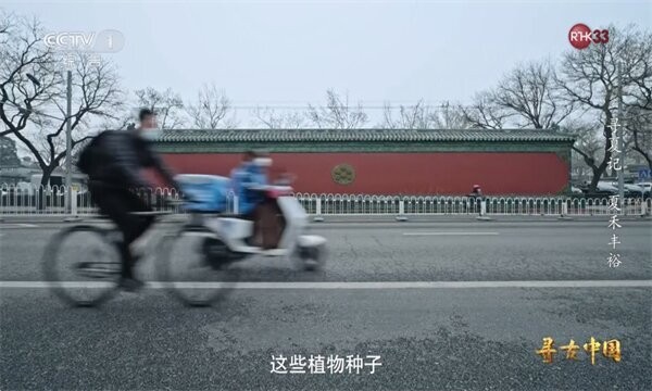 晨星电视最新版 v1.4.8 安卓版 3