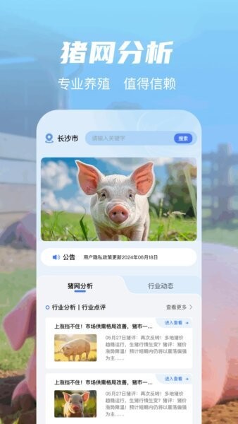 全民养猪场官方正版 v1.12 安卓版 1