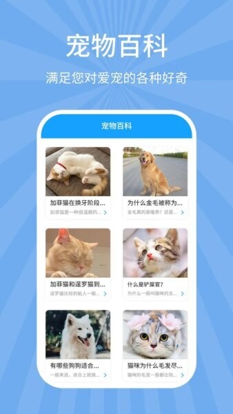 狗猫翻译器免费版 v7.8.1 安卓版 2