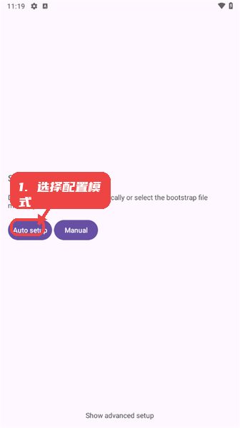 VectrasVM，第三步，选择配置模式。，进入设置选择界面，根据需要点击左侧“