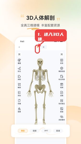 芝士医生教程图:第一步,进入3D人体解剖模块。 进入3D人体解剖模块。