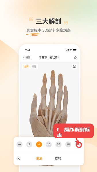 芝士医生教程图:第五步,操作三大解剖数字标本。 操作三大解剖数字标本。