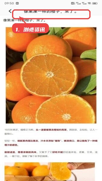 发财橙子赚钱官方正版教程图:第三步,浏览资讯。 浏览资讯。