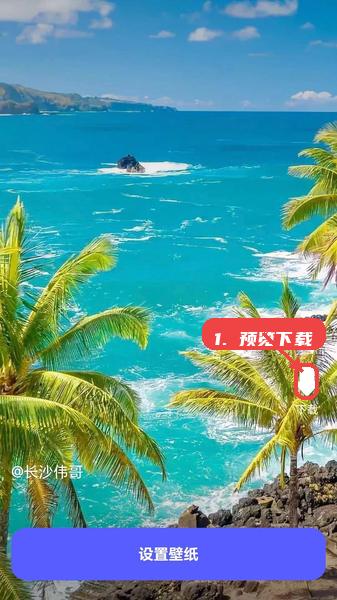 苏打壁纸教程图:第三步,预览并下载。 预览并下载。