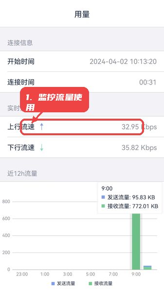 SecureLink教程图:第四步,监控流量使用情况。 监控流量使用情况。