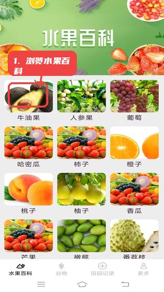 掌上果果多教程图:第一步,浏览水果百科。 浏览水果百科。