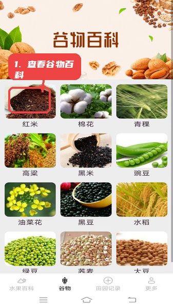 掌上果果多教程图:第二步,查看谷物百科。 查看谷物百科。