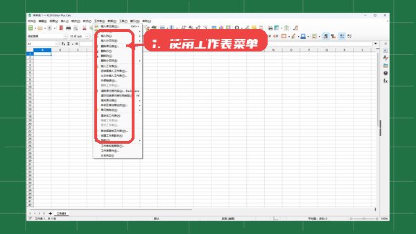 XLSX Editor PLUS教程图:第三步,使用工作表菜单。 使用工作表菜单。