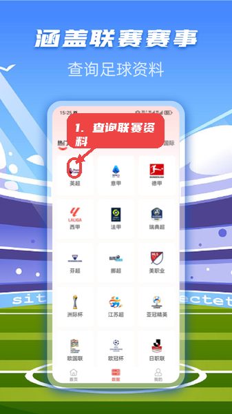 一定牛数据教程图:第四步,查询联赛资料 查询联赛资料