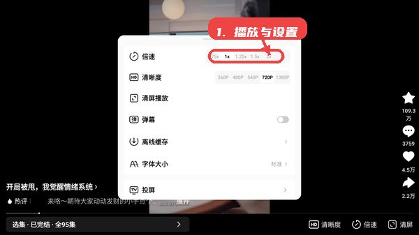 播放与设置。