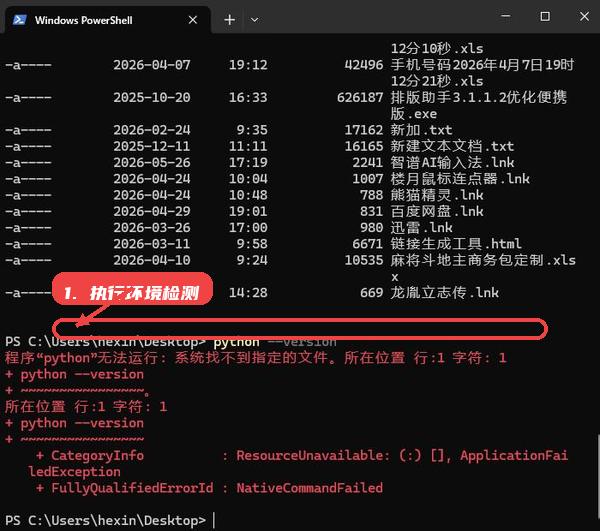 执行环境检测命令。