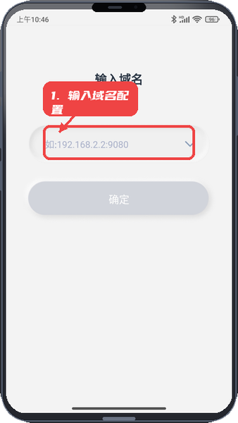 ParaZTA教程图:第二步,输入域名配置访问地址。 输入域名配置访问地址。